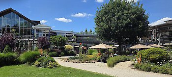 Arnbruck